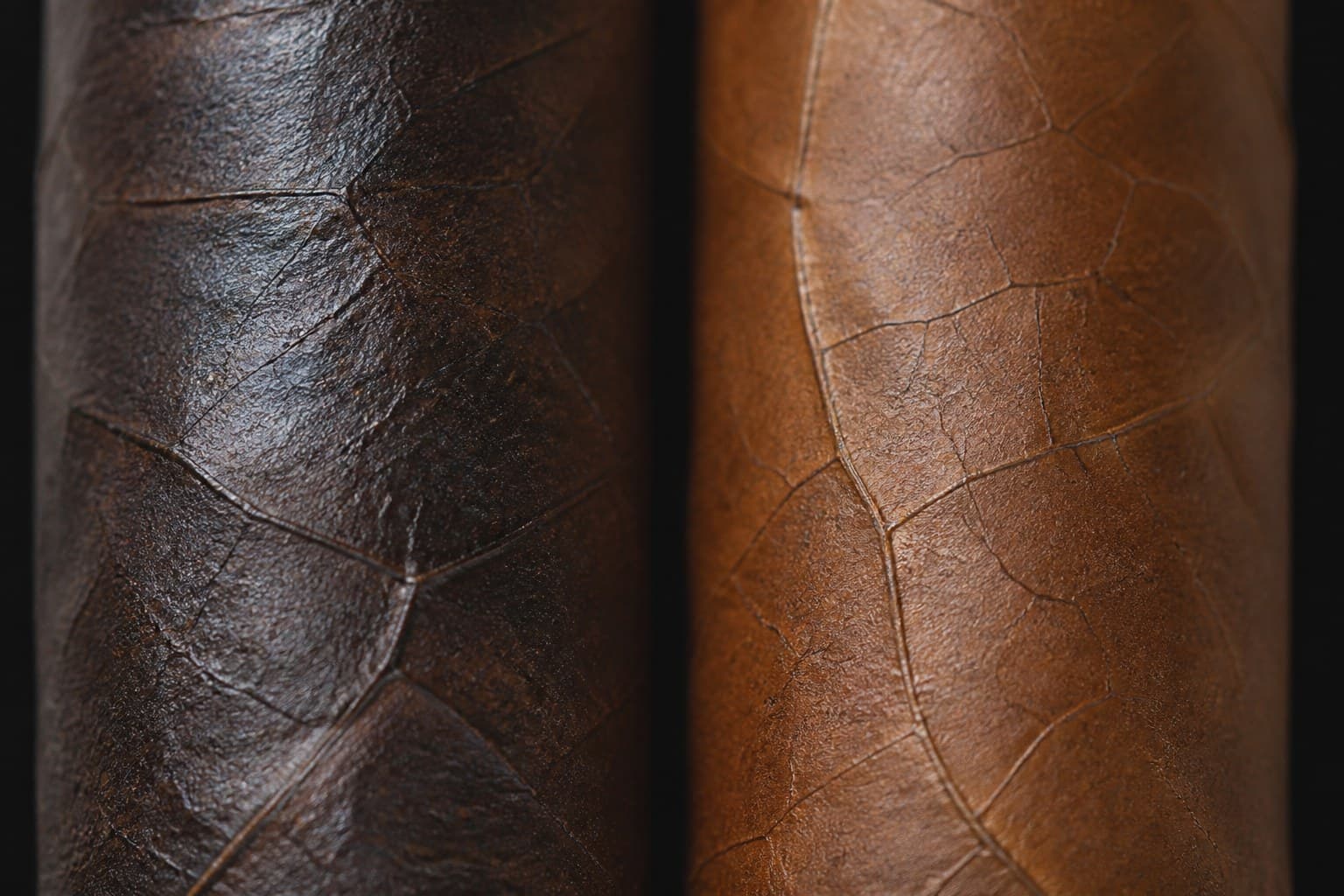 Macro comparison of Maduro and Habano wrapper leaf texture and color